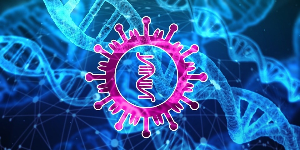 coronavirus coronavirus