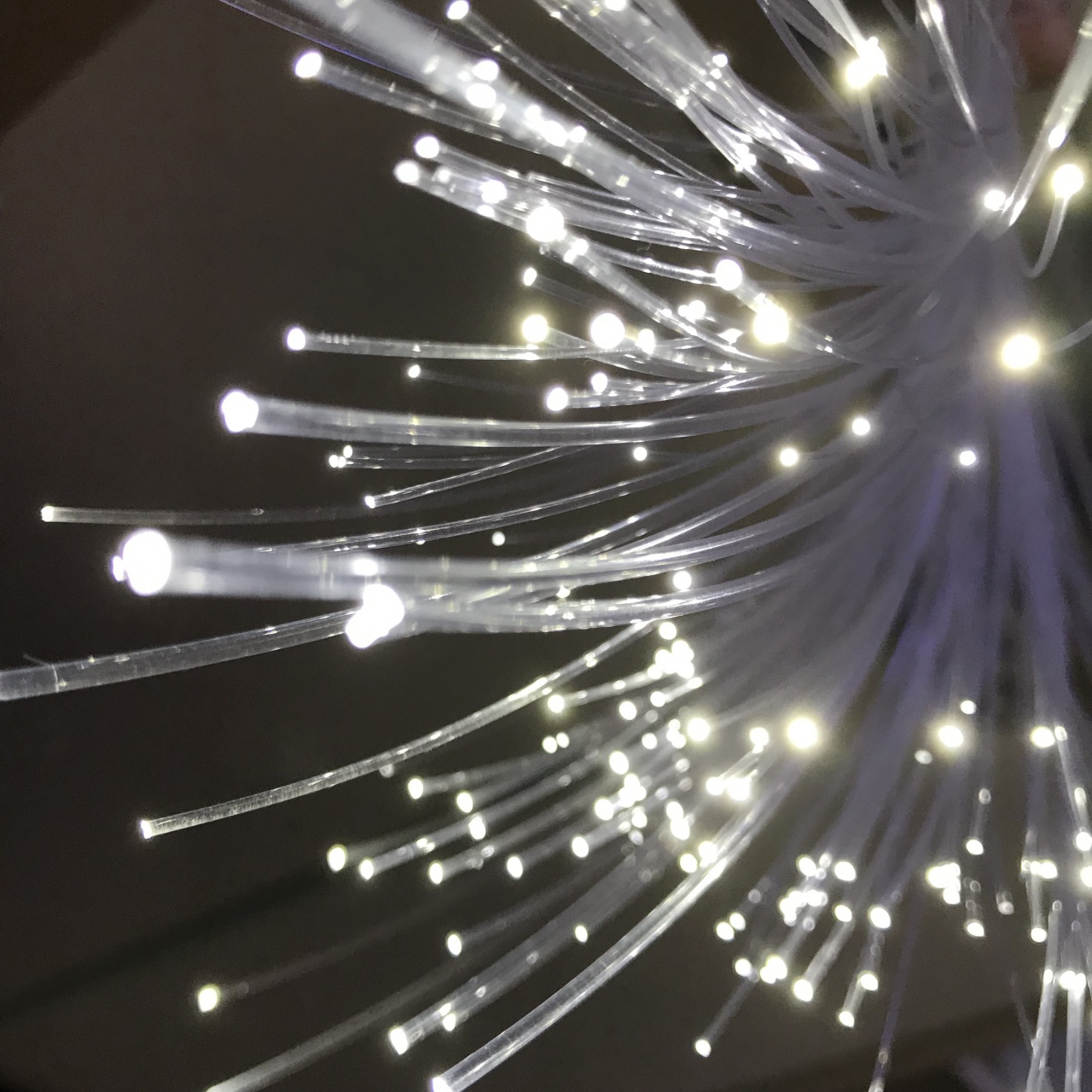 Velocità di trasmissione dati da record: 319 Terabit al secondo