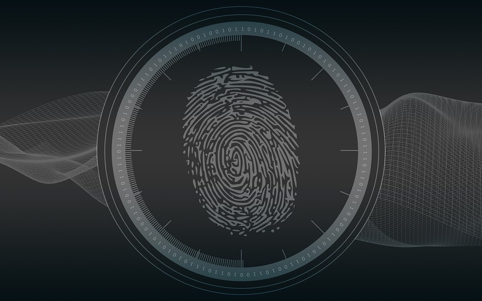 RedLine Stealer, il nuovo malware che ruba i dati sensibili