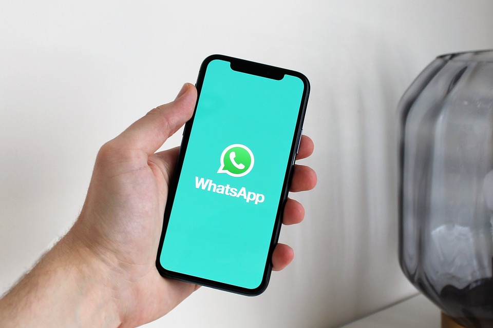 Gruppi WhatsApp di classe: guida alla sopravvivenza 