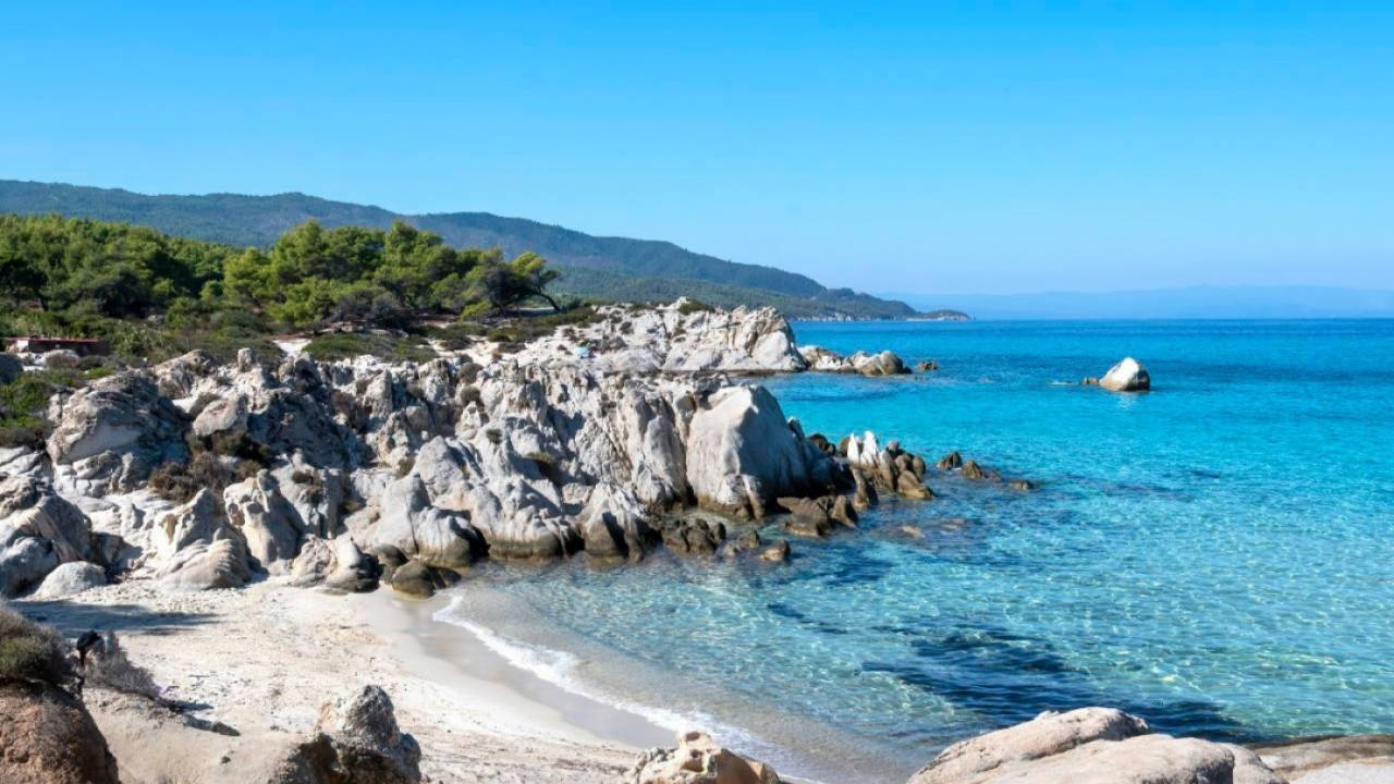 Theoria, Social Media & Vacanze 2023